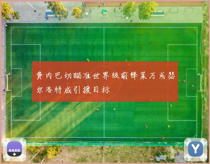 费内巴切瞄准世界级前锋莱万或瑟尔洛特成引援目标