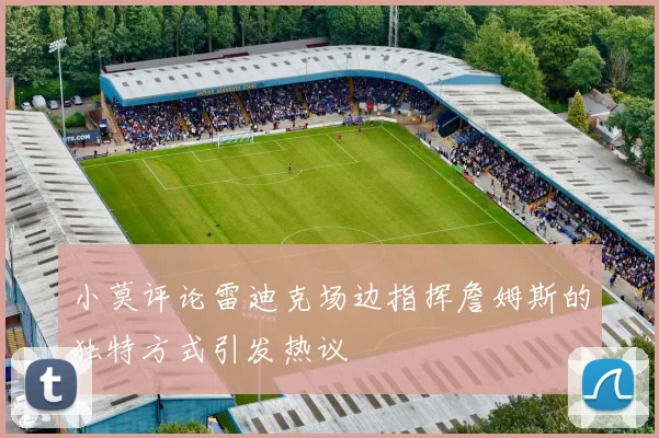 小莫评论雷迪克场边指挥詹姆斯的独特方式引发热议