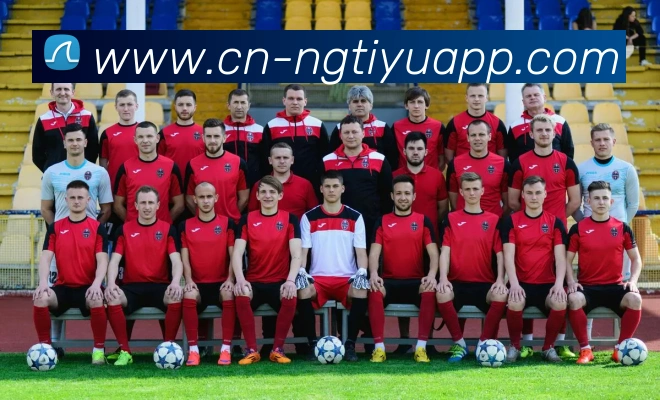 南宫体育服务体系